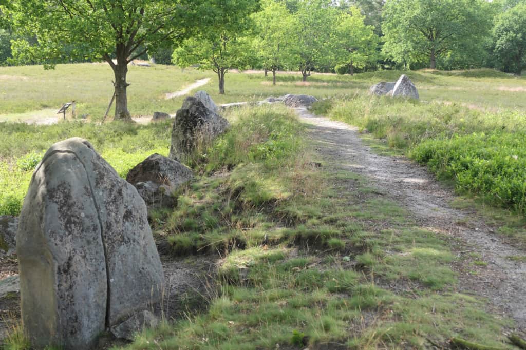 Bekannt und archäologisch höchst interessant: die Oldendorfer Totenstatt, die zum Landschaftsschutzgebiet des Landkreises Lüneburg gehört. Foto: Naturpark Lüneburger Heide