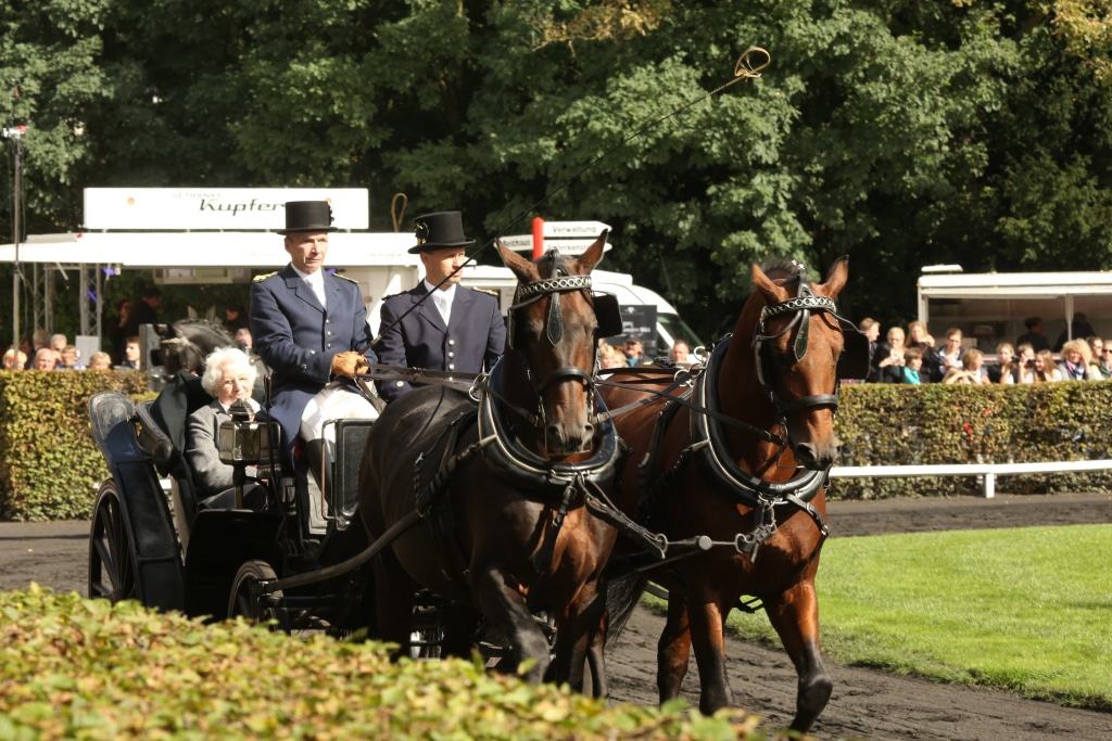 Hengstparade im Landgestüt Celle: Historie auf Rädern. Foto: M. Schwöbel