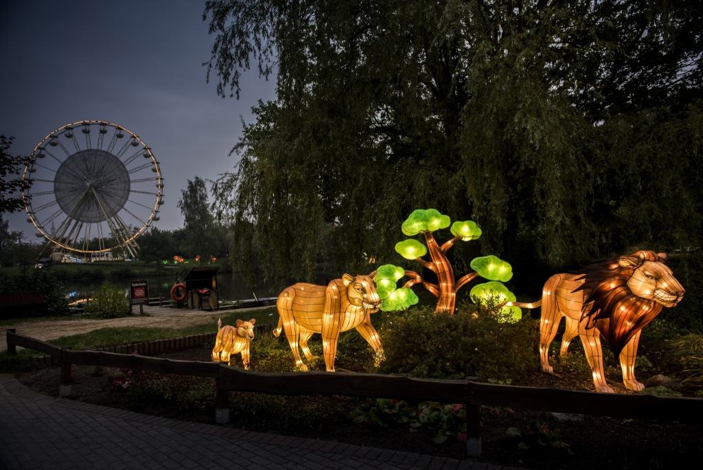 Löwenfamilie - Lichtersafari 2017 - Foto: Serengeti-Park Hodenhagen