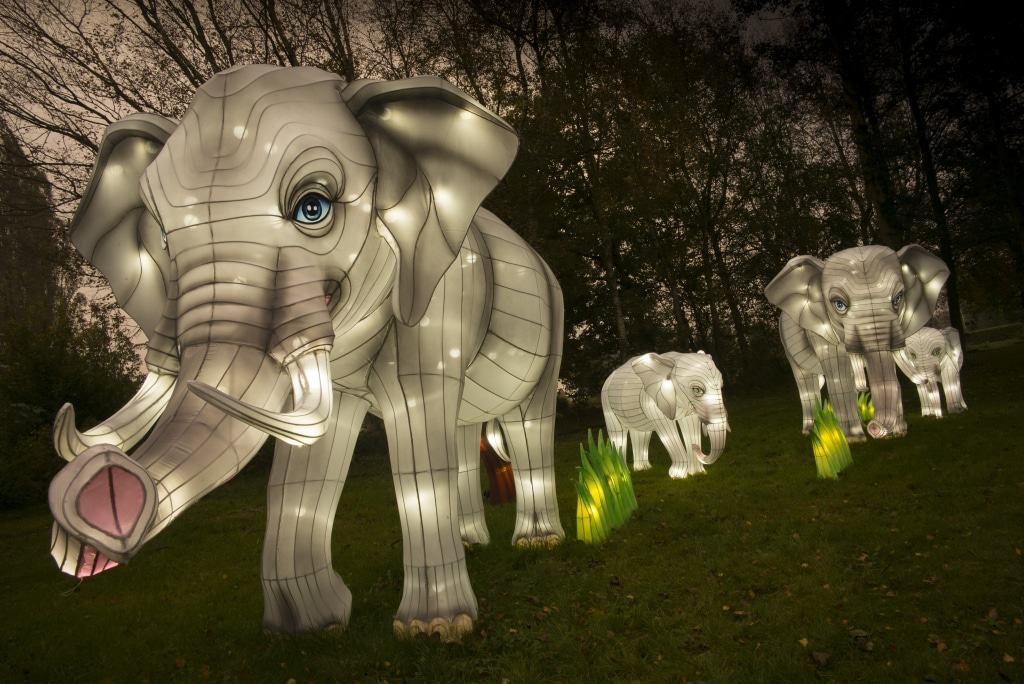 Elefanten - Lichtersafari 2017 - Foto: Serengeti-Park Hodenhagen