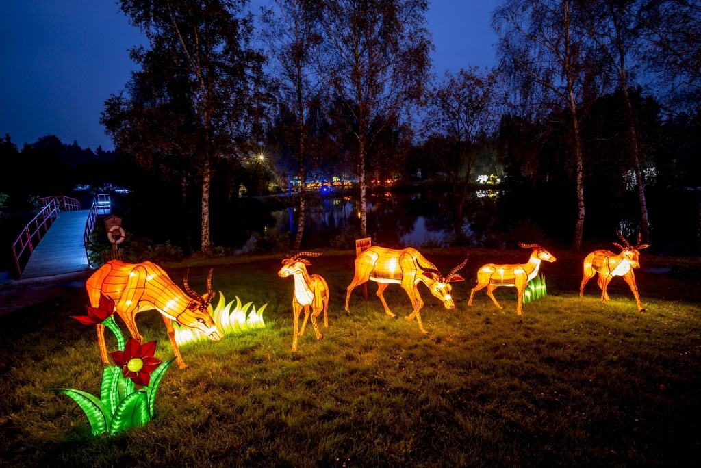 Antilopen - Lichtersafari 2017 - Foto: Serengeti-Park Hodenhagen