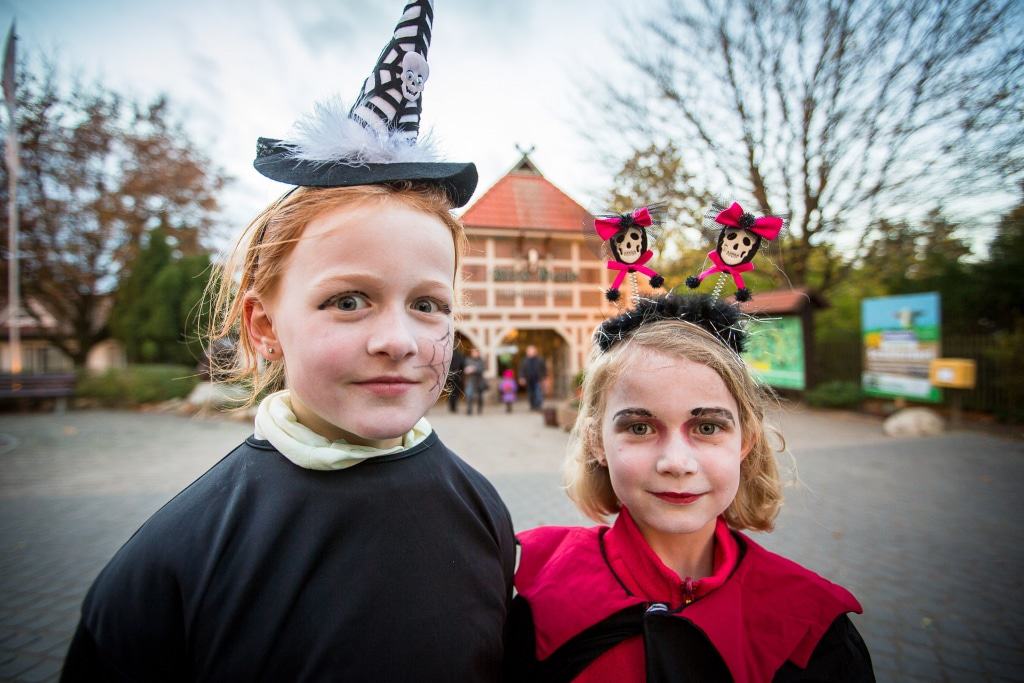 Wer zum Halloween-Familienfest verkleidet in den Wildpark kommt, erhält am Eingang eine kleine Überraschung. Foto: Wildpark/Thomas Ix