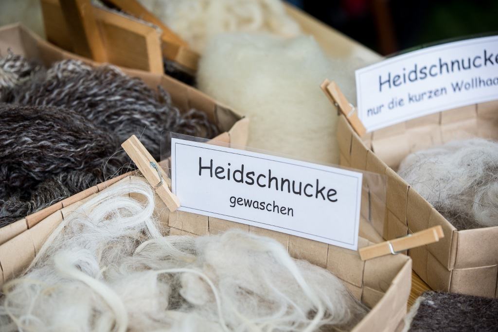 Wolle von verschiedenen Tieren wird an einem Infostand gezeigt. Die Unterschiede dürfen natürlich erfühlt werden. Foto: Wildpark/Thomas Ix
