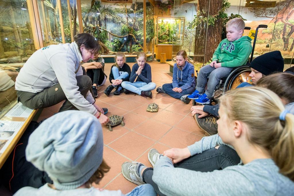 Eine Station beim Junior-Tierpﬂeger-Diplom  ist  das  Reptilium. Hier gibt  es unter anderem Wissenswertes  über Schildkröten und Schlangen. Foto: Wildpark/Thomas Ix