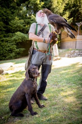 Lothar Askani mit seinem Deutsch-Drahthaar-Hund „Vita“ und einem Steinadler. Foto: Wildpark/Adrian Fohl