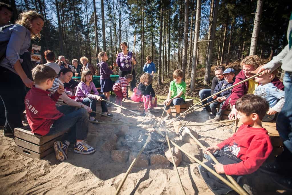 Beim Stockbrotbacken am Lagerfeuer kann man sich von den vielen Mitmach-Aktionen oder von der Runde durch den Park entspannen. Foto: Wildpark/Thomas Ix