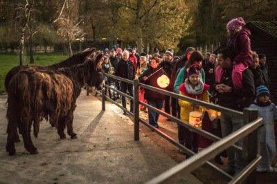 Mit selbst mitgebrachten Laternen geht es bei Einbruck der Dämmerung auf eine Gruselwanderung durch den Wildpark zu den Tieren. Foto: Thomas Ix