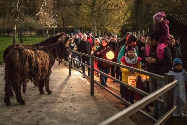 Mit selbst mitgebrachten Laternen geht es bei Einbruck der Dämmerung auf eine Gruselwanderung durch den Wildpark zu den Tieren. Foto: Thomas Ix