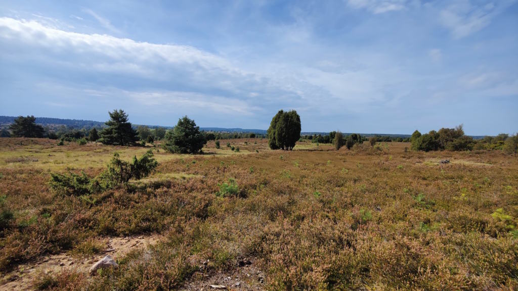 © Naturpark Lüneburger Heide / Blick nach Wilsede