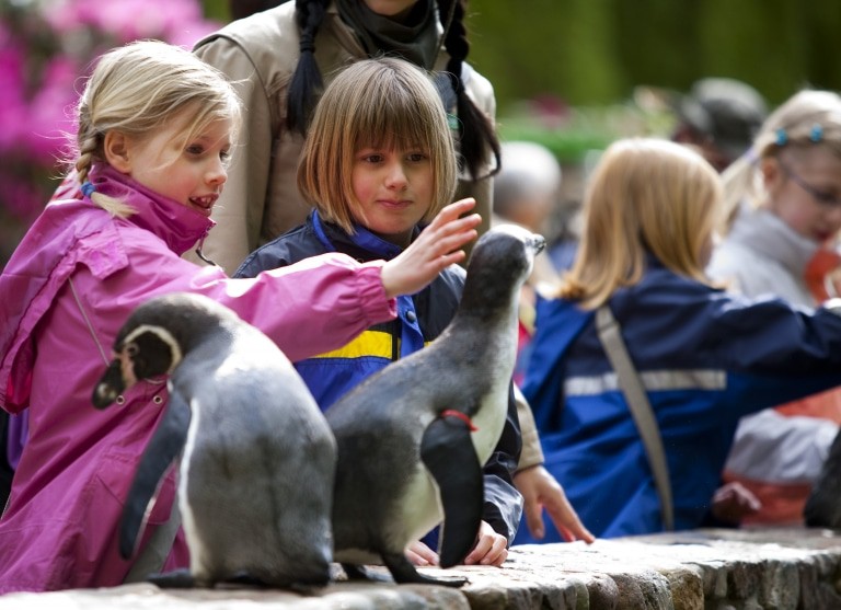 Kindern füttern die Humboldtpinguine im Weltvogelpark Walsrode Photo: Weltvogelpark Walsrode/JOAO MARCOS ROSA / NITRO