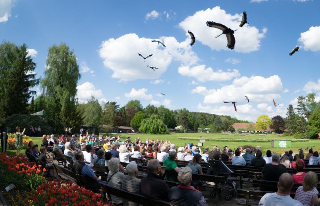 Finale der Flugshow Foto: Weltvogelpark Walsrode