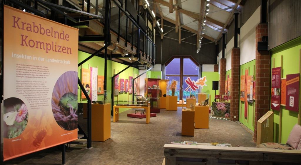 Blick in die Ausstellung „Krabbelnde Komplizen“ im Freilichtmuseum bis 17.11.2019 Bild: FLMK