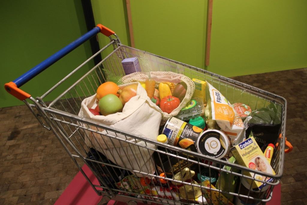 Einkaufswagen durch Bestäubung erzeugte Lebensmittel in der Ausstellung „Krabbelnde Komplizen“ Bild: FLMK