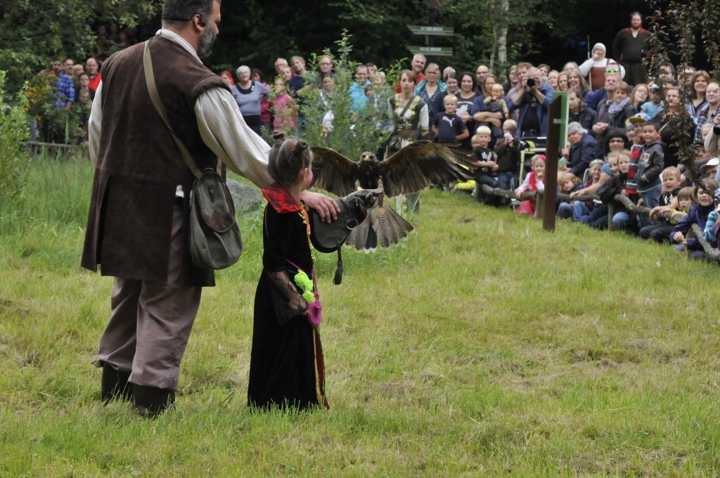 Bei der Greifvogelflugschau können die Gäste den gefiederten Räubern ganz nahe kommen. © Aktion Fischotterschutz e.V.
