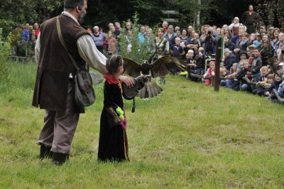 Bei der Greifvogelflugschau können die Gäste den gefiederten Räubern ganz nahe kommen. © Aktion Fischotterschutz e.V.