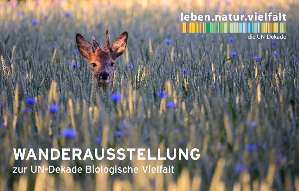 Ankündigung Wanderausstellung UN-Dekade Biologische Vielfalt 