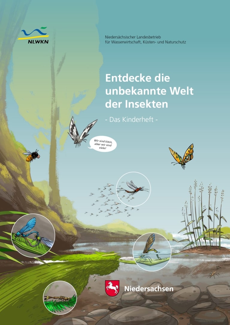 Titelblatt: "Entdecke die unbekannte Welt der Insekten" - Das Kinderheft NLWKN 2020
