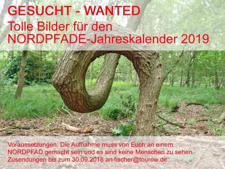 NORDPFADE-Impressionen wie hier der „Schlangenbaum“ am NORDPFAD Wümmeniederung werden gesucht. Foto: Touristikverband Landkreis Rotenburg (Wümme) e.V.