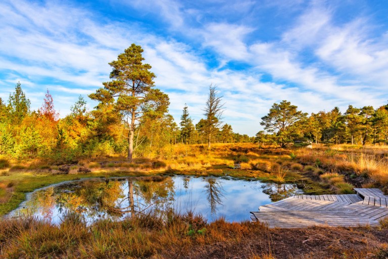 NORDPFAD Börde Sittensen - Herbst im Tister Bauernmoor © Björn Wengler für TouROW