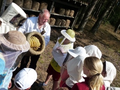 Zusammenhänge verstehen, Lösungen entwickeln, vorausschauend Handeln: all das bedeutet BNE. Hier veranschaulicht ein Imker aus der Lüneburger Heide Kindern sein Handwerk. Foto: Naturpark Lüneburger Heide