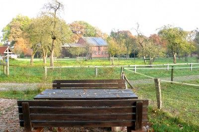 Impressionen am Wegesrand Nordpfad Riepholm-Gilkenheide, Foto: Petra Reinken