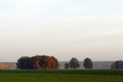 Herbsttag am Nordpfad Riepholm-Gilkenheide, Foto: Petra Reinken