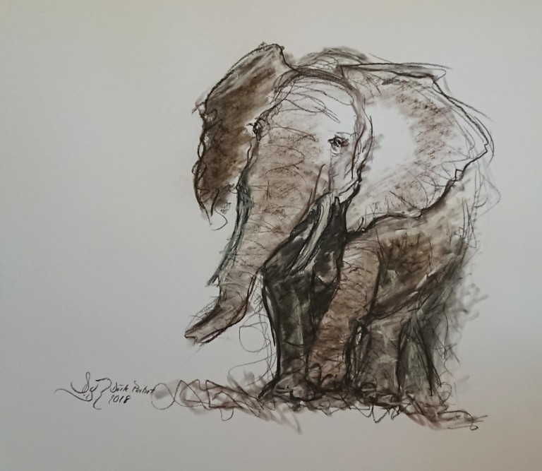 Dörte Pertiet - Elefant 2
