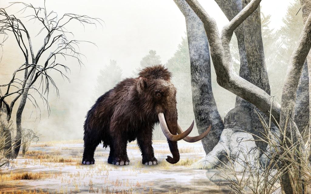 Bei der Eiszeit-Safari begegnen die Gäste unter anderem dem Mammut. Foto: Serengeti-Park