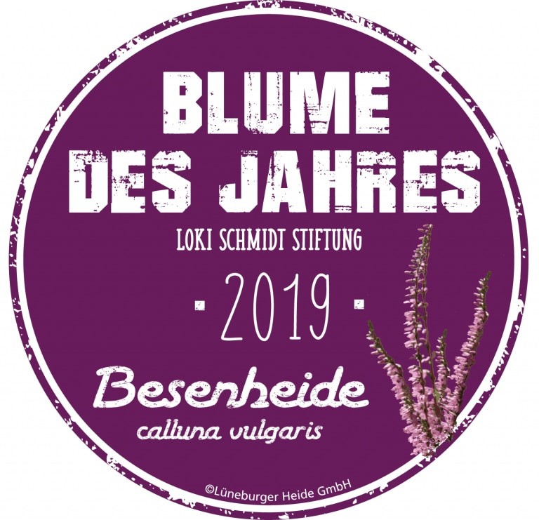 Die Besenheide (Calluna vulgaris) - Blume des Jahres 2019