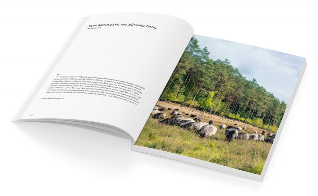 Seite 32/33 aus WOCHENENDER – Lüneburger Heide: Harburg, Heidekreis, Lüneburg, 978-3-9819748-3-6 : Wanderung vom Brunsberg ins Büsenbachtal