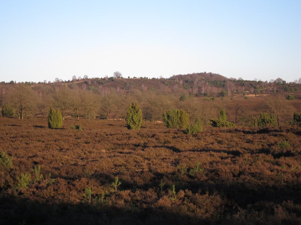 Blick auf den Wilseder Berg im Winter