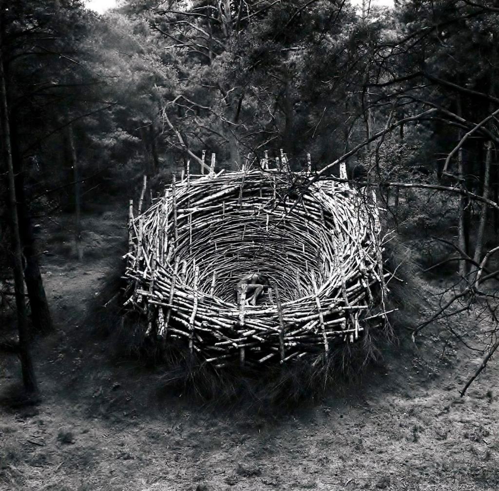 Nils-Udo „Nest“, 1978 (Foto: Nils-Udo)