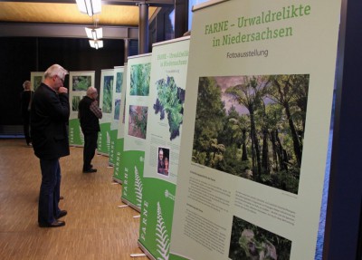 Foto Ausstellung "Farne in Niedersachsen", Foto: Niedersächsische Landesforsten