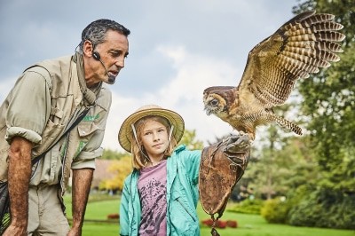 Flugshow im Weltvogelpark Walsrode Foto: Weltvogelpark Walsrode