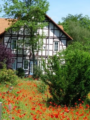 Auftakt zum Landsommer, Foto: Verein der Gästeführer/Innen im Heidekreis in der Lüneburger Heide e.V.