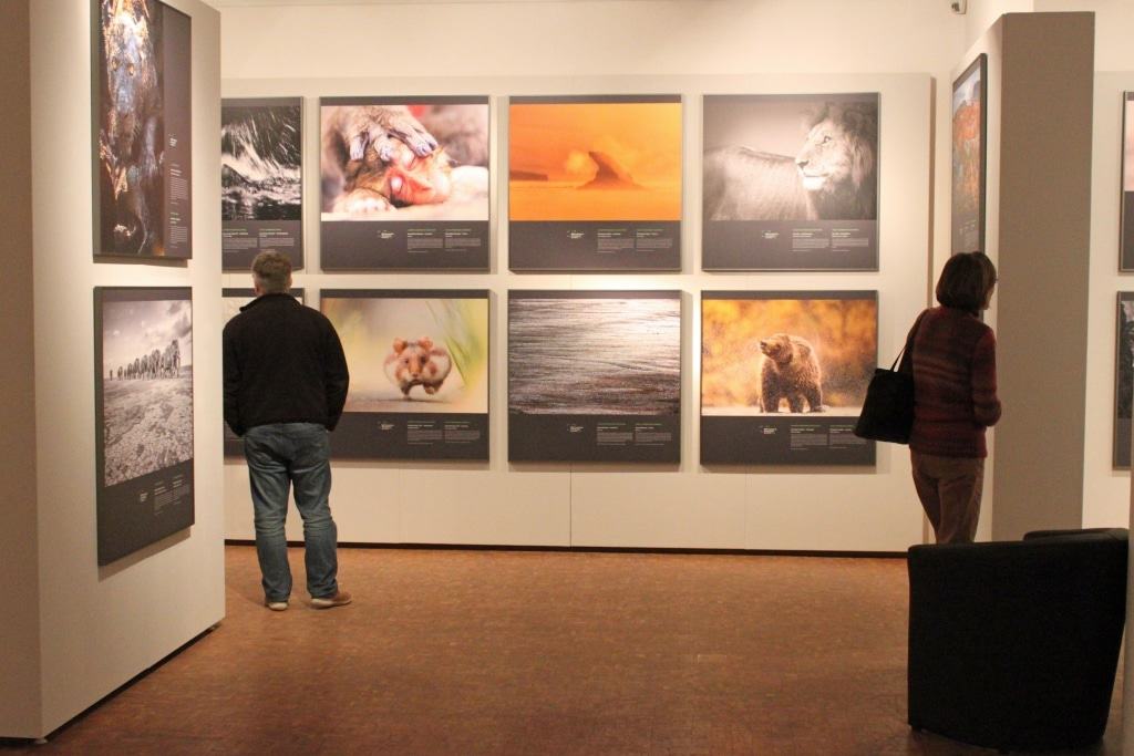Blick in die Ausstellung Foto: DPM