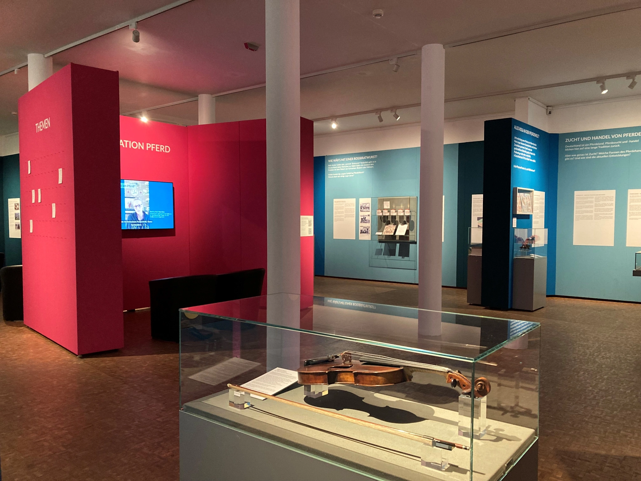 Blick in die Ausstellung © Deutsches Pferdemuseum