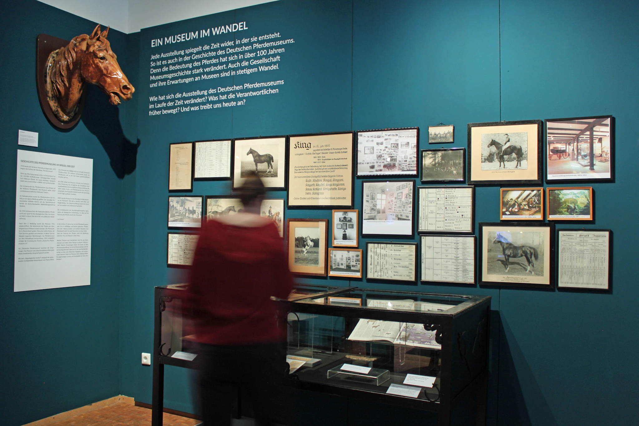 Blick in die Ausstellung © Deutsches Pferdemuseum