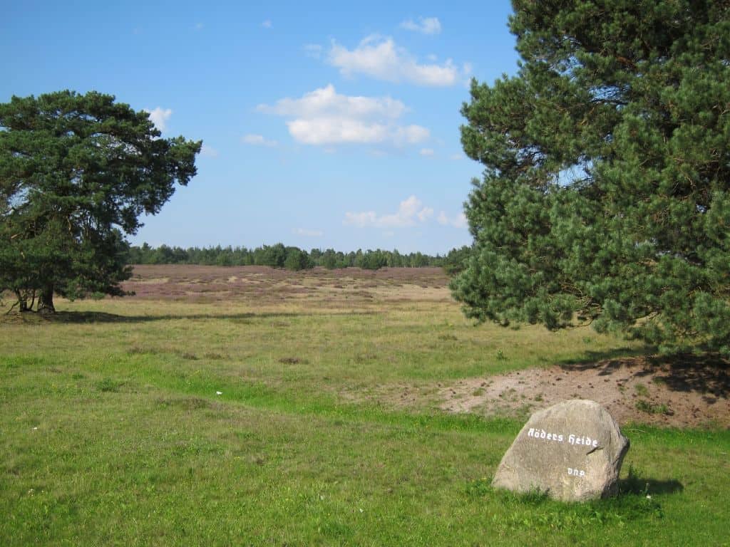 deimern-grasengrund-timmerloher-heide-heidebluete-2015 Hinweisstein Röders Heide in der Timmerloher Heide 23.08.2015