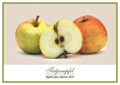 Der Uphuser Tietjenapfel, Apfel des Jahres 2017 Foto www.nimar-blume.de