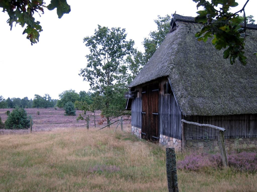 Heidetaler Heide bei Niederhaverbeck: ehemaliger Schafstall