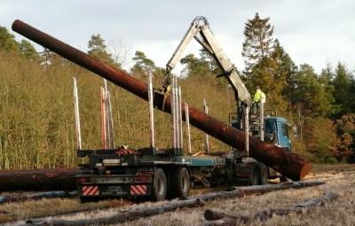 Von den Fuhrleuten werden die Nadelholz-Stämme am vorgegebenen Platz aufgereiht. (Foto: Niedersächsische Landesforsten)