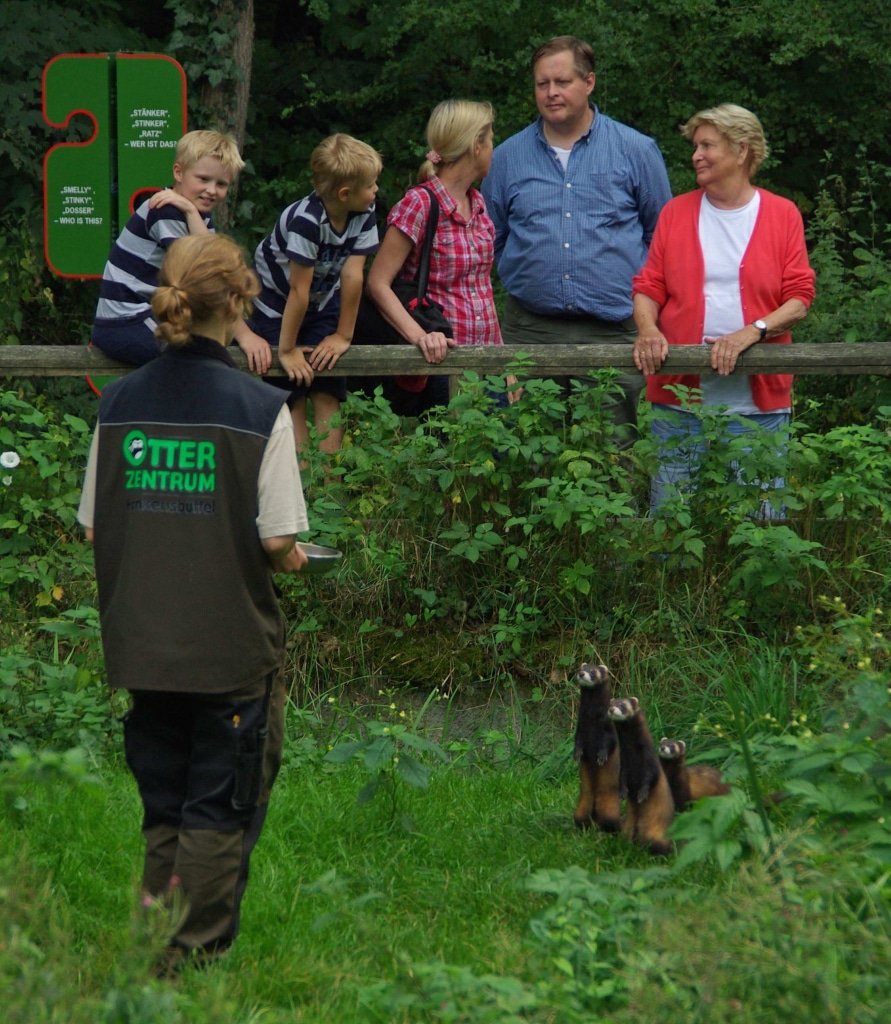 Die Schaufütterungen von Otter, Dachs und Co. haben zum Erfolg des OTTER-ZENTRUMs beigetragen. © Aktion Fischotterschutz e.V.