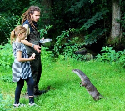Bundesweit einzigartige Kinder-Ferienaktion: Fischotter füttern im OTTER-ZENTRUM Hankensbüttel © Aktion Fischotterschutz e.V.