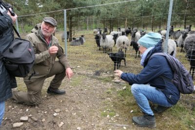 von Hörsten erzählt den Lehrerinnen der Naturparkschule Sprötze-Trelde von der Lebensweise der Heidschnucken.