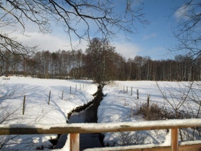 An der Böhme in Schneverdingen-Heber im Winter mit Schneedecke