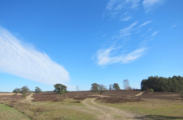 Heidefläche bei Schwindebeck