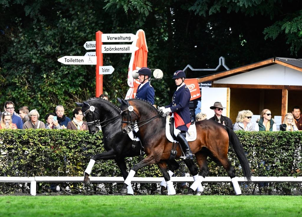 Hengstparade Celle 2017: Dressurvorstellung Foto: M. Schreiner