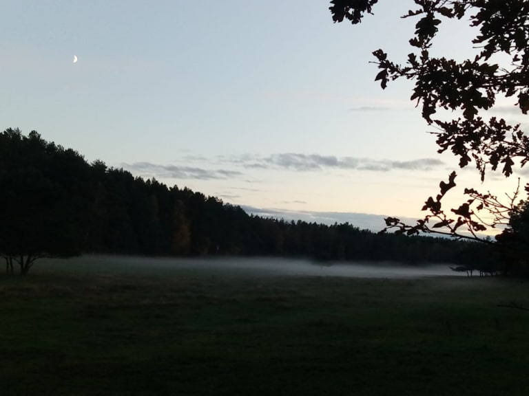 Herbstabend - Wiesenlandschaft mit Nebel und Mondsichel