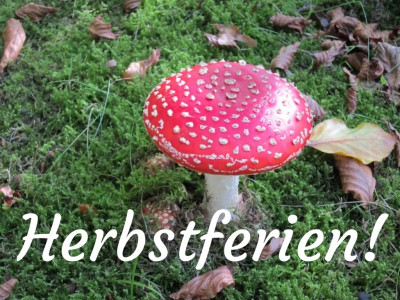 Fliegenpilz im Moos - Herbstferien in der Lüneburger Heide